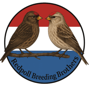 Redpoll Breeding Brothers logo